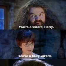 youre-a-harry-wizard_fb_1106890